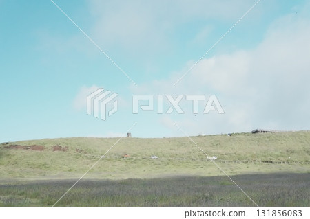 廣闊的草原和藍天的簡單風景 131856083