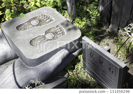 Scenery of the grounds of Josenji Temple, surrounded by cluster amaryllis and greenery, in Yamato City, Kanagawa Prefecture 131856296
