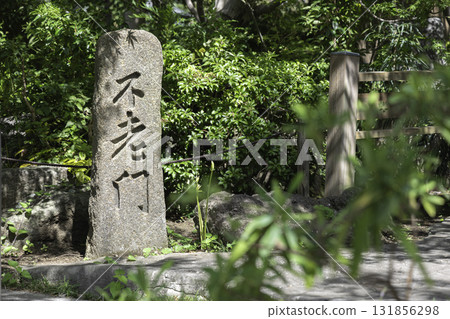 神奈川縣大和市城泉寺院內，被石蒜和綠樹環繞的風景 131856298