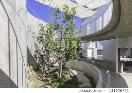 茨城縣霞浦親近樂園的現代建築與動物 131856701