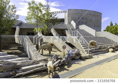 茨城縣霞浦親近樂園的現代建築與動物 131856708
