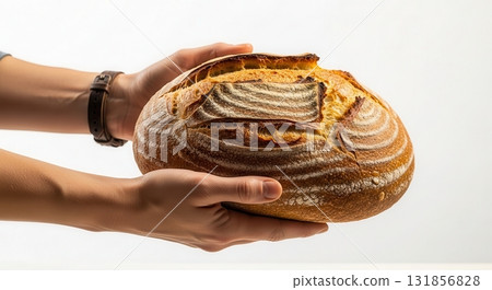 Woman hands presenting a freshly baked artisanal sourdough bread loaf, golden brown and warm 131856828