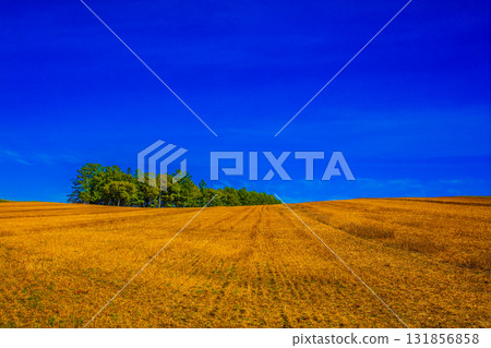 收成後的田野 131856858