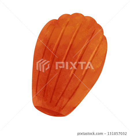 Madeleine watercolor hand-drawn illustration 131857032