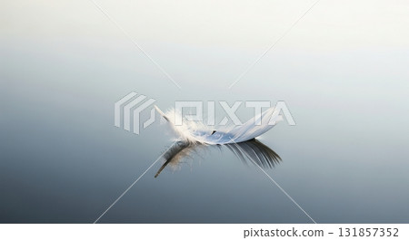 Delicate white feather floating peacefully on calm water surface with reflection 131857352