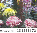 Chrysanthemum festival 131858672