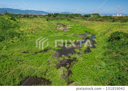 京都府八幡市木津川的支流 131859042