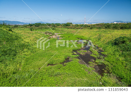 A tributary flowing into the Kizu River, Yawata City, Kyoto Prefecture A tributary flowing into the Kizu River, Yawata City, Kyoto Prefecture 131859043