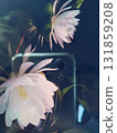 Tsukisa 131859208
