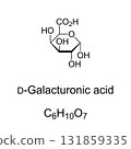 D-Galacturonic acid, chemical formula and structure. D-Galacturonopyranose, sugar acid and oxidized form of D-galactose. Main component of pectin, in which it exists as polymer polygalacturonic acid. 131859335