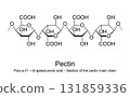 Pectin, section of the pectin main chain, molecular structure. Polymer of galacturonic acid residues, linked by glycosidic bonds, forming the main backbone of pectins. Isolated illustration. Vector 131859336