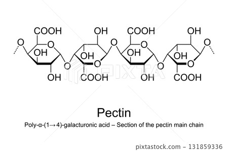 Pectin, section of the pectin main chain, molecular structure. Polymer of galacturonic acid residues, linked by glycosidic bonds, forming the main backbone of pectins. Isolated illustration. Vector 131859336