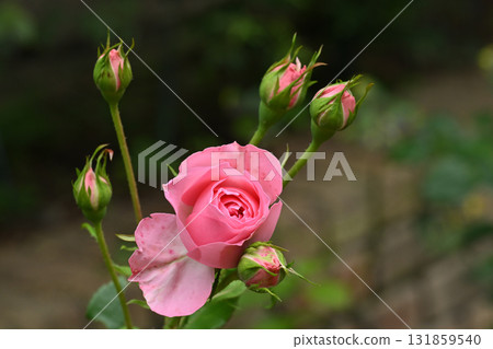 Guy de Maupassant 131859540