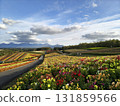 Brilliant flower garden 131859566