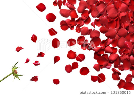 A floral shadowless background with bright red rose petals flying A floral shadowless background with bright red rose petals flying 131860015