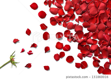 A floral shadowed background with bright red rose petals flying 131860016