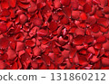 A carpet of bright red roses spread all over the place 131860212