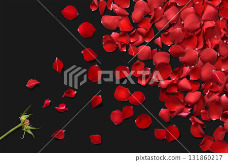 Floral background with red rose petals flying Floral background with red rose petals flying 131860217