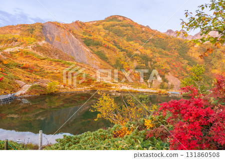 清晨徒步穿越八方山的秋葉,欣賞北阿爾卑斯山的日出 清晨徒步穿越八方山的秋葉,欣賞北阿爾卑斯山的日出 131860508