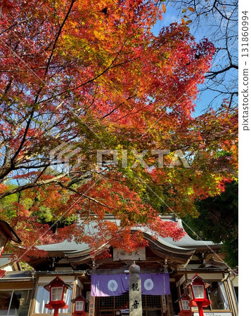 Autumn leaves at Akashiji Temple in Sasaguri Town Autumn leaves at Akashiji Temple in Sasaguri Town 131860994