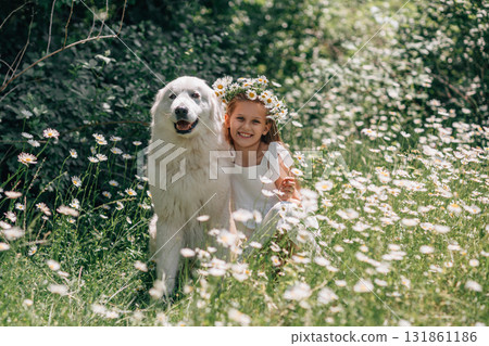 Dog Girl Daisies: Smiling child with Great Pyrenees sits in flower field in daytime. 131861186