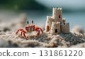 Small red crab exploring a detailed sandcastle on a sunlit sandy beach at low tide 131861220