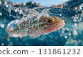 Underwater Close Up View of a Fish Trapped Inside a Floating Plastic Bottle in Ocean 131861232