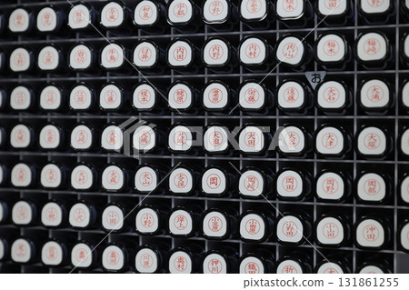 seal 131861255
