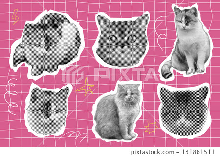 Cat halftone collage sticker set, trendy retro y2k pet, funky emoticon animal, pop aesthetic pink background. Meme head with speech bubble. Funny kitty. Cat halftone collage sticker set, trendy retro y2k pet, funky emoticon animal, pop aesthetic pink background. Meme head with speech bubble. Funny kitty. 131861511