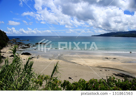 Emerald green sea and white sand beach 131861563