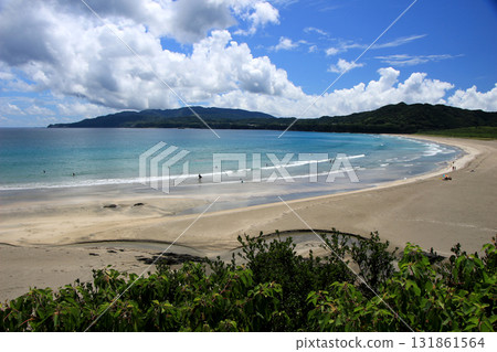 Emerald green sea and white sand beach 131861564