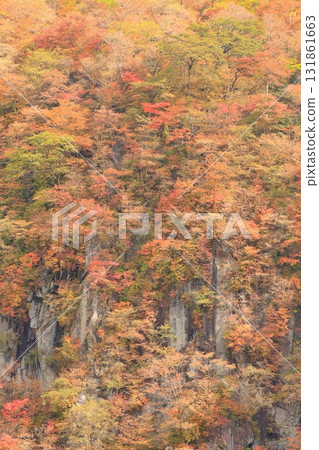 秋葉Kegon瀑布 131861663