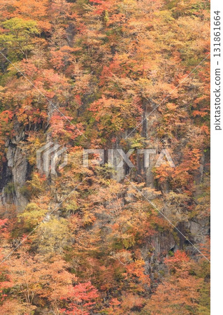 秋葉Kegon瀑布 131861664