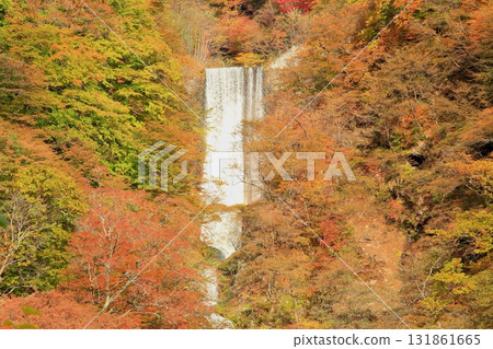 秋葉Kegon瀑布 131861665