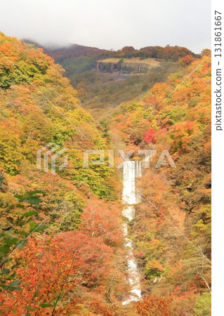 Kegon Waterfall of autumn leaves Kegon Waterfall of autumn leaves 131861667