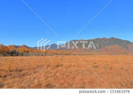 Autumn leaves at Senjogahara in Oku-Nikko 131861976