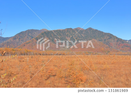 Autumn leaves at Senjogahara in Oku-Nikko 131861989