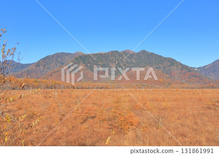 Autumn leaves at Senjogahara in Oku-Nikko Autumn leaves at Senjogahara in Oku-Nikko 131861991