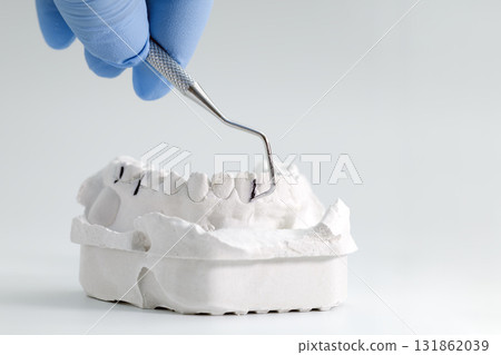Dental tool examining plaster teeth model 131862039