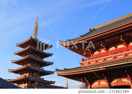 盛開的櫻花和淺草寺寶藏門 - 東京旅遊勝地 131862364