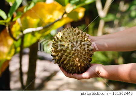 Man holds a durian fruit with spiky exterior while standing in a lush green garden during daytime Man holds a durian fruit with spiky exterior while standing in a lush green garden during daytime 131862443