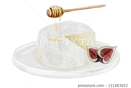 Cheese watercolor drawing. Brie, figs and honey. Hand drawn illustration of dairy cream product of French cuisine. Clip art of food on white background. Ideal for packaging of farm organic product or 131863052