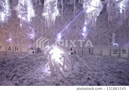 2025年大阪關西世博會巴西館展覽 131863143