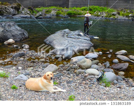 A holiday with mountain stream fishing and my dog ~A moment at the source of the Nagara River in Okumino~ 131863189