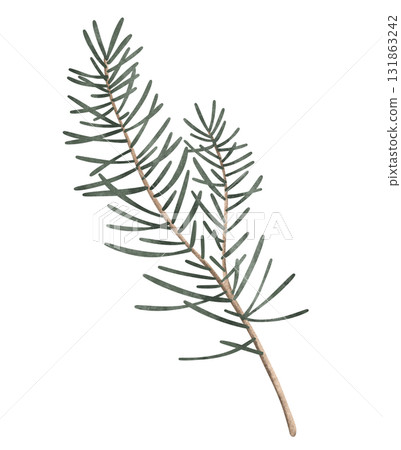 Delightful green branch of pine or fir tree, new year holiday decorations, capturing the cozy and cheerful spirit of Christmas. Illustration on isolated background. 131863242