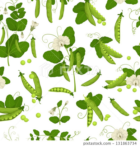 Cartoon green peas seamless pattern. Repeated agricultural plant, legume family, leaves, flowers, pods and tendrils, kitchen textile, wrapping paper, wallpaper. Print tidy vector background Cartoon green peas seamless pattern. Repeated agricultural plant, legume family, leaves, flowers, pods and tendrils, kitchen textile, wrapping paper, wallpaper. Print tidy vector background 131863734
