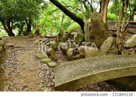 天神山出四郎31庭園遺址 131864116