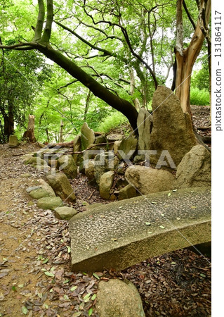 天神山出四郎30庭園遺址 131864117