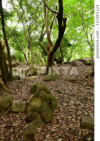 Tenjinyama Deshiro 23 Garden Ruins Tenjinyama Deshiro 23 Garden Ruins 131864124