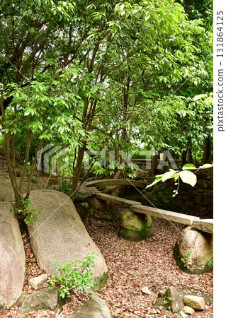 天神山出四郎22庭園遺址 131864125